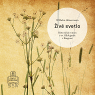 iv svetlo